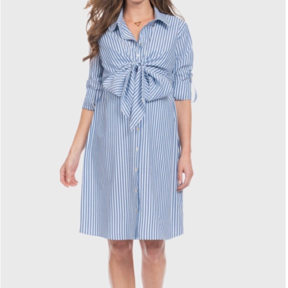 NWT never worn Seraphine maternity/nursing blue and white cotton shirt dress